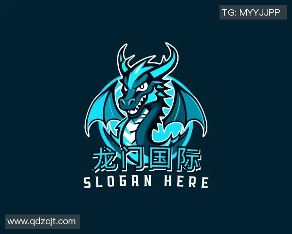 携手龙门国际共筑辉煌明天携手共创美好未来的愿景与承诺