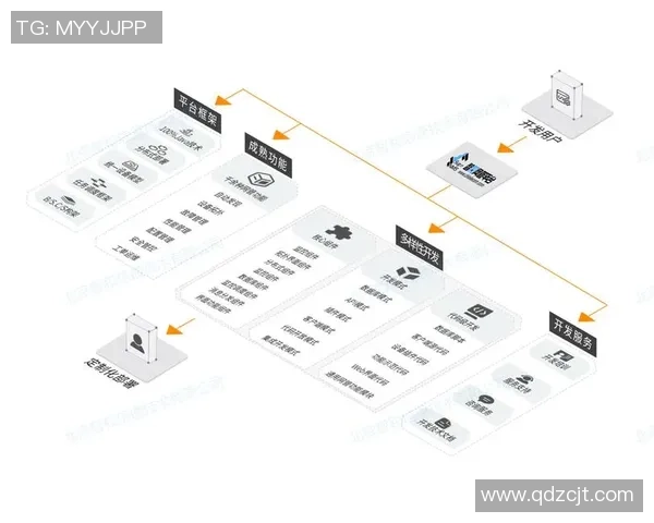 全面解析欧陆平台流量管理平台的功能与应用前景