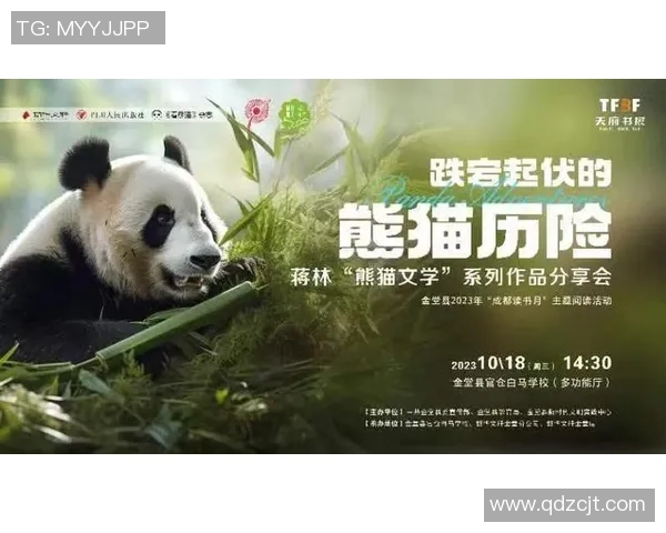 熊猫体育比赛策略生成探讨与实践方法分享