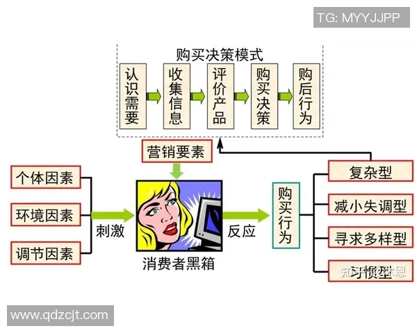 价格比较聚合网站如何影响消费者的购物决策与选择行为分析